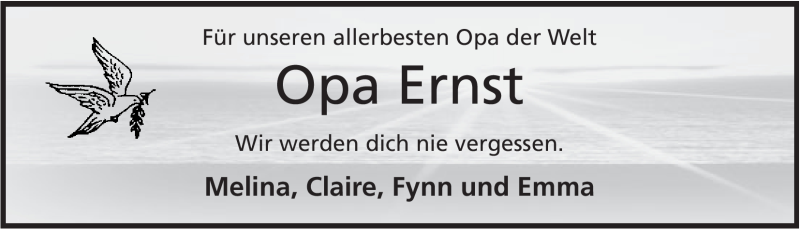  Traueranzeige für Ernst-Hermann Reinking vom 19.04.2012 aus Mindener Tageblatt